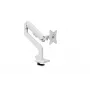 Monitorarm Arozzi AZ-ALZARE-NEO-WT wit 9 kg VESA 75x75 100x100