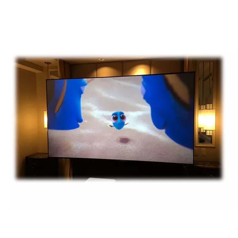 Elite Screens | vast frame projectiescherm | AR120H-CLR3 | diagonaal 120 inch | 16:9 | zwart