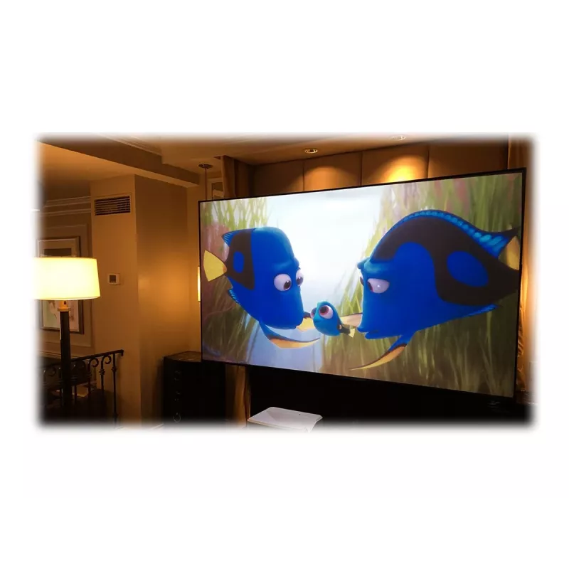 Elite Screens | vast frame projectiescherm | AR120H-CLR3 | diagonaal 120 inch | 16:9 | zwart