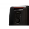 Bluetooth-luidspreker FERGUSON REGENT Power Audio 400BT RGB 60W FM USB AUX DSP zwart