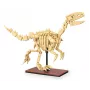 Bouwset Jamara CaDA dinosaurusfossiel Velociraptor — 256 onderdelen, leeftijd 8+, beige/bruin