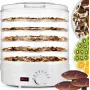 Extralink Home Grote droogoven voor paddenstoelen, fruit, groenten en kruiden Krachtige Pro 500W + 5 plateaus 27cm wit