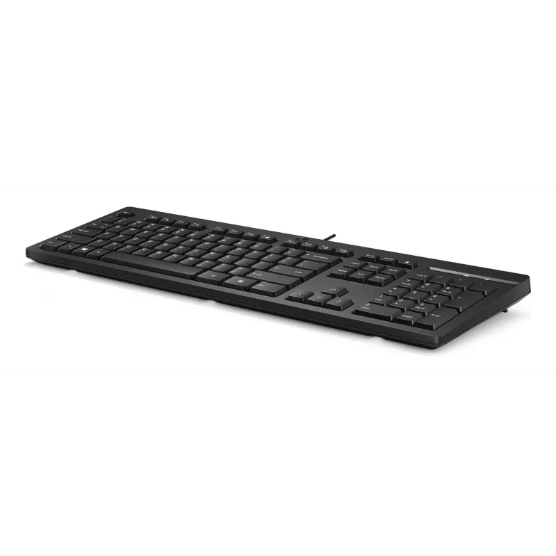 HP 125 bedraad toetsenbord full-size USB membraan zwart