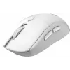 MSI FORGE K210 W COMBO WHITE US toetsenbord muis inclusief Home/Office USB QWERTY US English