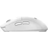 MSI FORGE K210 W COMBO WHITE US toetsenbord muis inclusief Home/Office USB QWERTY US English