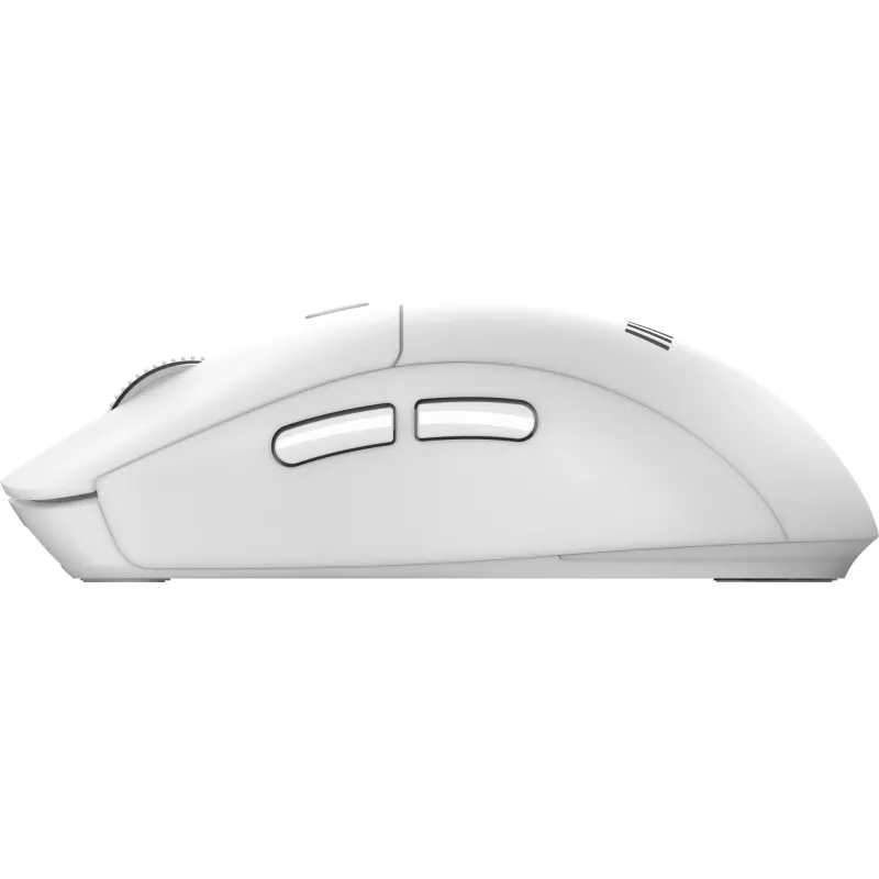 MSI FORGE K210 W COMBO WHITE US toetsenbord muis inclusief Home/Office USB QWERTY US English
