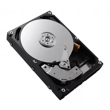 DELL 161-BCFV interne harde schijf 2,4 TB 10000 tpm 2,5 inch SAS