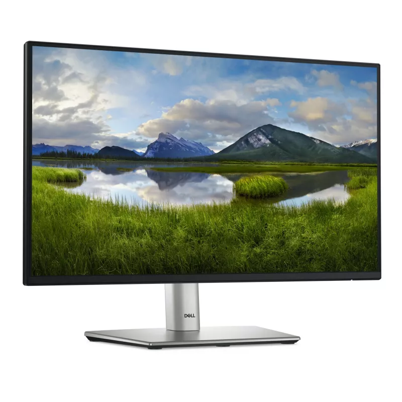 DELL P Series P2225H computermonitor 54,6 cm (21,5 inch) 1920 x 1080 pixels Full HD LCD zwart, zilver