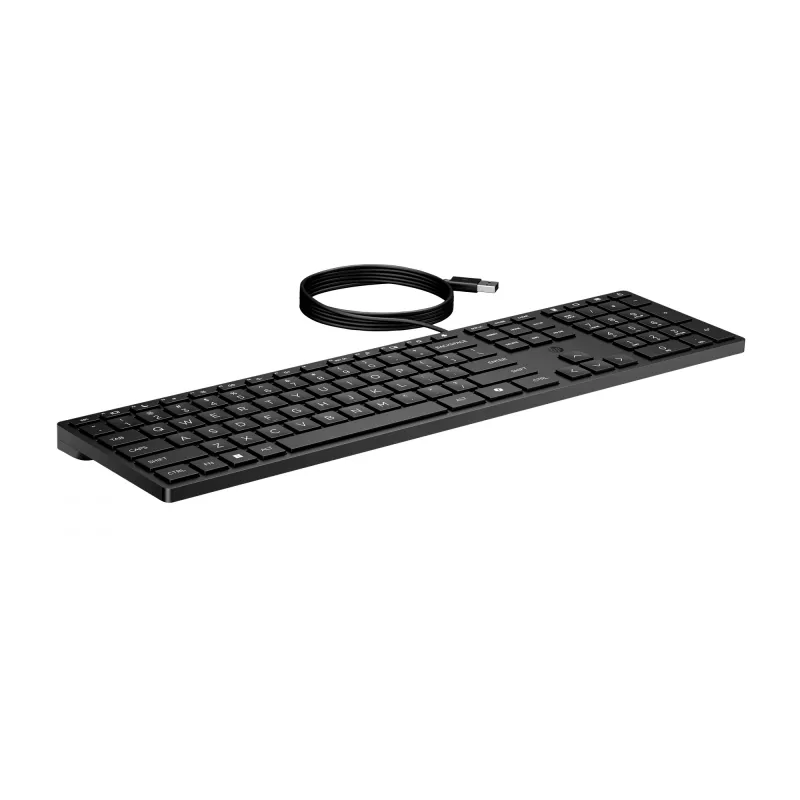 HP Wired Desktop 320K toetsenbord full-size USB membraan zwart