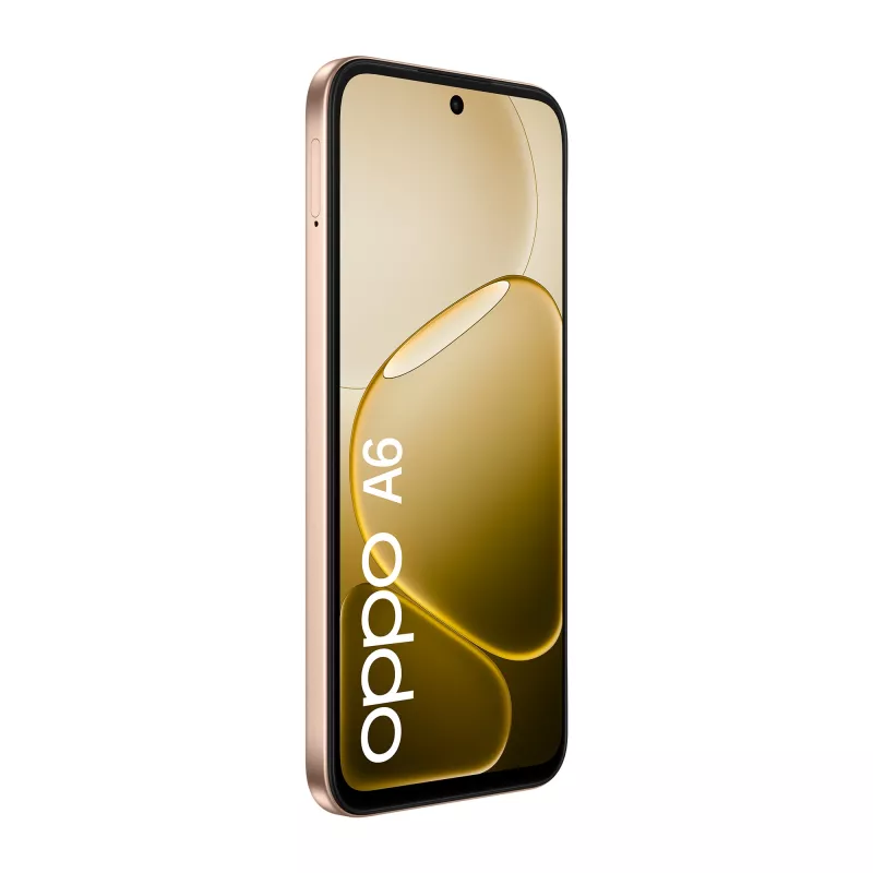 OPPO A6 17,1 cm (6,75 inch) dual-sim Android 15 4G USB Type-C 6 GB 256 GB 6550 mAh goud