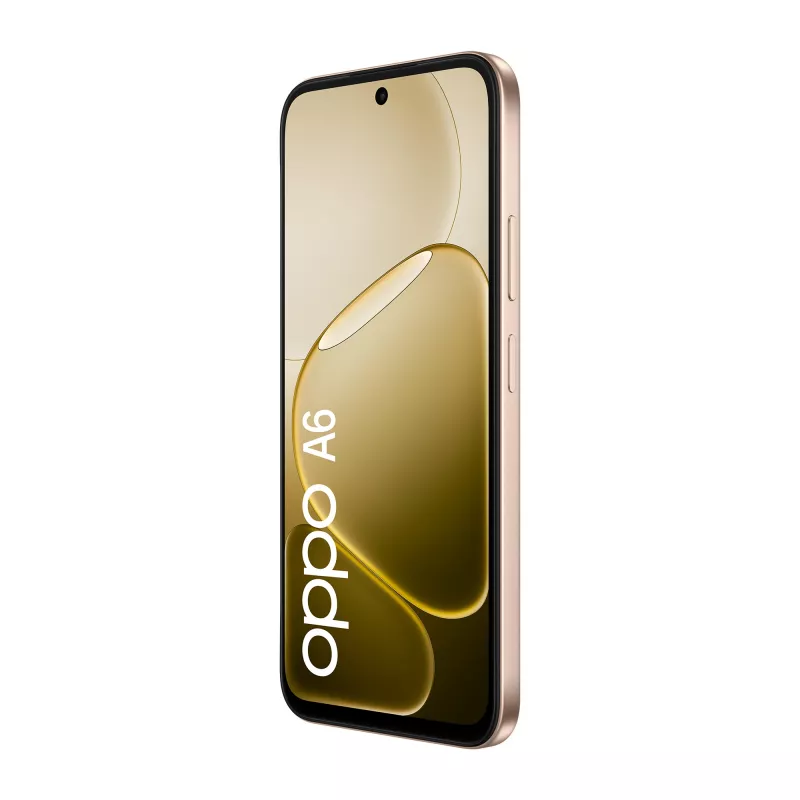 OPPO A6 17,1 cm (6,75 inch) dual-sim Android 15 4G USB Type-C 6 GB 256 GB 6550 mAh goud