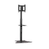 Chief PF1UB monitorbeugel / standaard 190,5 cm (75 inch) vloer zwart