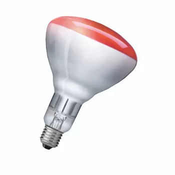 Infraroodlamp Philips 923212043801 250 W 5000 h 230-250 V