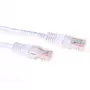 ACT wit 20 meter U/UTP CAT6-patchkabel met RJ45-stekkers