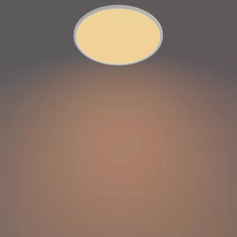 Plafondlamp Philips Functional Super slank 22 W wit rond LED