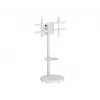 TECHLY vloerstandaard met rolwagenplateau voor LCD/LED/plasma tv 37-86 inch wit