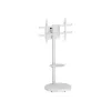 TECHLY vloerstandaard met rolwagenplateau voor LCD/LED/plasma tv 37-86 inch wit