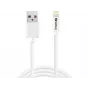 SANDBERG 440-94 SANDBERG kabel USB>Lightning 2M Apple-goedgekeurd