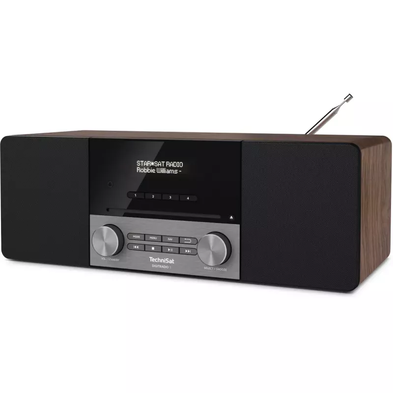 Draagbare radio TechniSat DigitalRadio 3 analoog & digitaal DAB+ FM