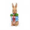 Peter Hase und seine Freunde - verhalenbundel, hoorspelfiguur