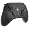 Gamepad Deltaco GAM-198 zwart — Bluetooth en USB (Type-C) voor Nintendo Switch, Switch 2, Switch OLED, Android, pc