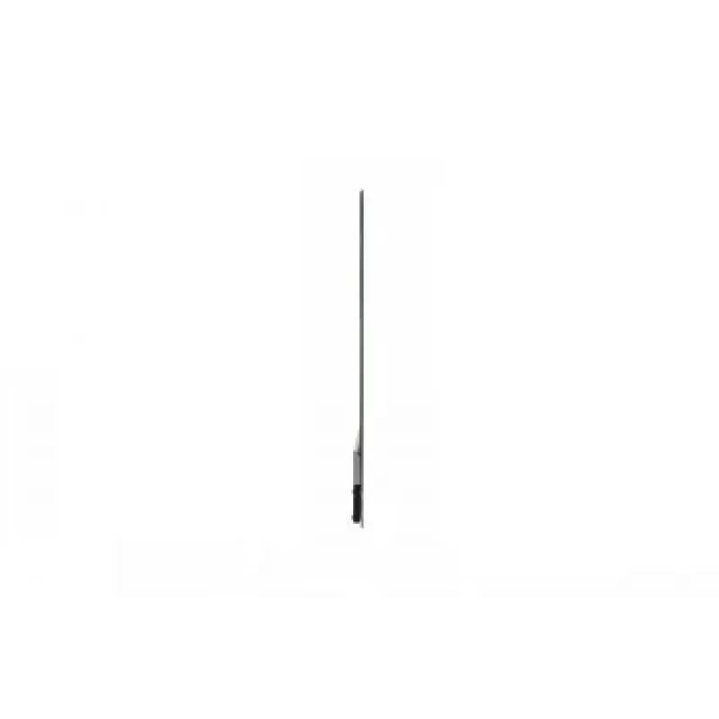 Digital Signage flatscreen LG 30EW5TP-A 30 inch OLED 1366 x 768