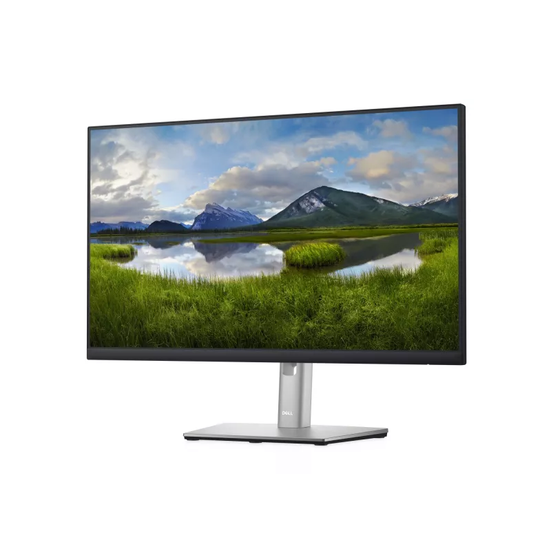 DELL P Series P2422H computermonitor 60,5 cm (23,8 inch) 1920 x 1080 pixels Full HD LCD zwart