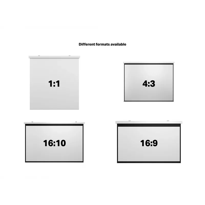 Gemotoriseerd projectiescherm MULTIBRACKETS M 16:9 135 inch (300x168) matwit