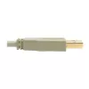 USB 2.0 A naar B kabel Tripp Lite U022-006-BE 1,8 m beige