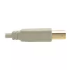 USB 2.0 A naar B kabel Tripp Lite U022-006-BE 1,8 m beige