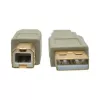 USB 2.0 A naar B kabel Tripp Lite U022-006-BE 1,8 m beige