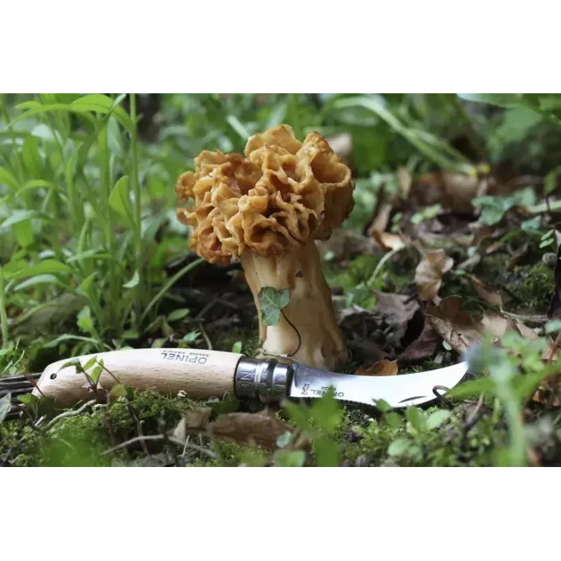 Zakmes Opinel