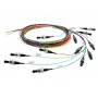Telegärtner InfiniBand/glasvezelkabel 2 m 12x LC veelkleurig
