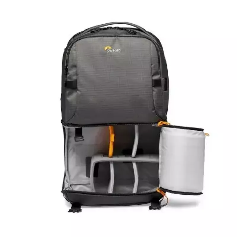 Backpack Lowepro Fastpack BP 250 AW III grijs