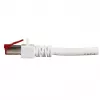 Netwerkkabel EFB Elektronik K5518.30 RJ-45 Cat6 30 m wit