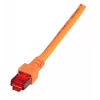 Netwerkkabel EFB Elektronik K5516.50 RJ-45 Cat6 50 m oranje