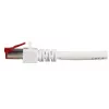 Netwerkkabel EFB Elektronik K5518.50 RJ-45 Cat6 50 m wit