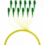 EFB Elektronik FTTH-PIGTAIL-LCA1 2 m LC/APC 6x LC OS2 glasvezelkabel