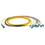 Glasvezelkabel EFB Elektronik MTPF12LCOS2-1 1m