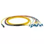 Glasvezelkabel EFB Elektronik MTPF12LCOS2-10 10 m