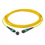 Glasvezelkabel EFB Elektronik MTPF12MTPFOS2-15-A MTP OS2 15 m geel
