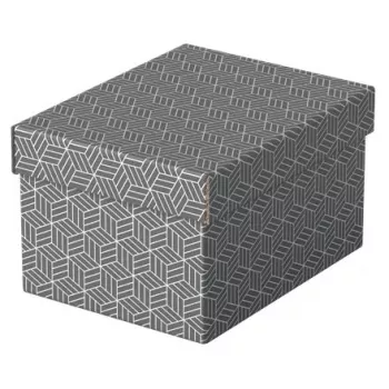Opbergbox Esselte 628281 grijs rechthoekig 200x255x150 mm