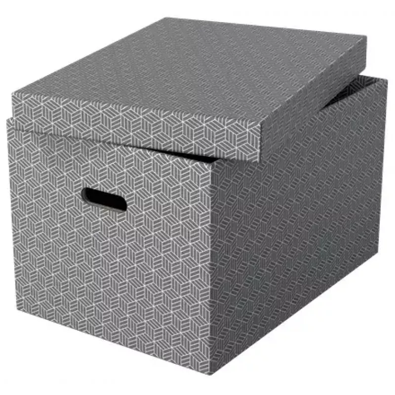 Opbergbox ESSELTE 628287 rechthoekig karton grijs 355×510×305 mm