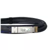DAC-kabel BlueOptics PAN-QSFPDD-DAC-2M-BL QSFP-DD InfiniBand 2 m zwart