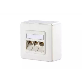 RJ-45-netwerkdoos BTR NETCOM 1309130002-E wit