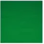 Walimex 16550 Stoffen achtergrond, groen, 2,85 x 6 m