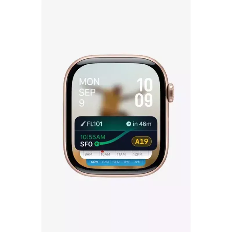 Smartwatch Apple Watch Series 10 GPS + Cellular 42 mm Slate titanium zwart