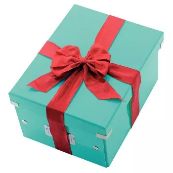 Opbergbox Leitz Click & Store Medium Box