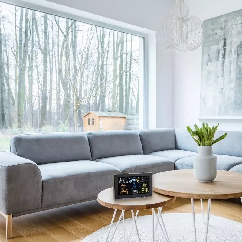 TFA-Dostmann 35.1140.01 Spring Breeze draadloos weerstation, zwart