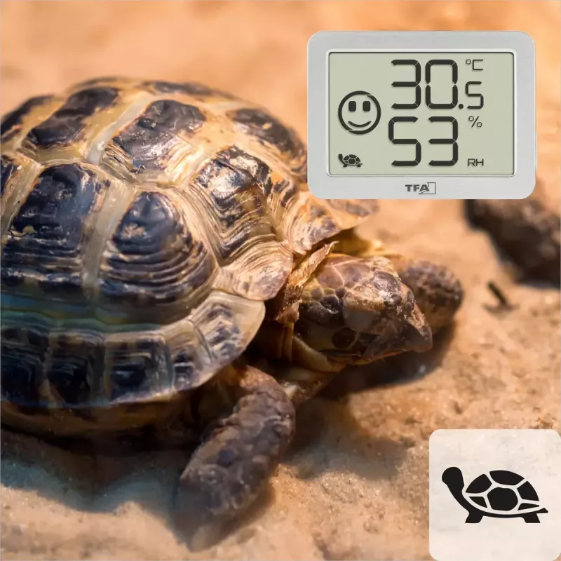 Binnen temperatuur- en vochtigheidssensor TFA-Dostmann 30.5055.02 vrijstaand draadloos